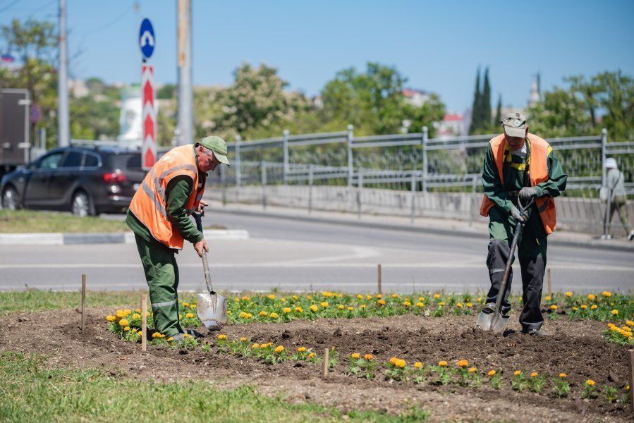 ����������� ������ ���������� ������ ����� � ������ ���������������� �������