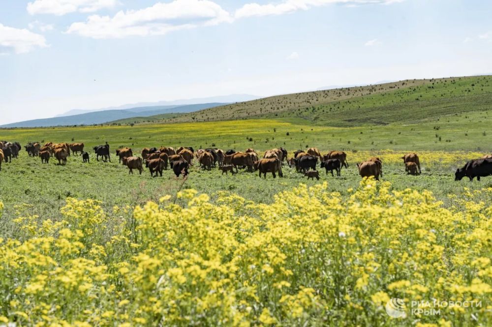 ������� ������ � ����� �� �����