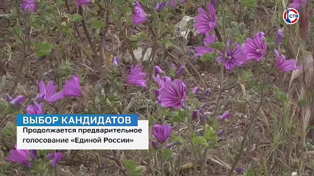 ��������������� ����������� ������� ������ PG.ER.RU: ��������� ���������� ������� � ��������������� �� ������� ��������������� ������