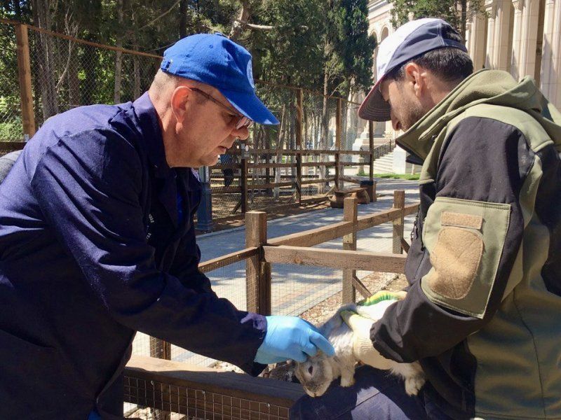 ������������ ����������� ������� ���������� �������� � ������ ���������