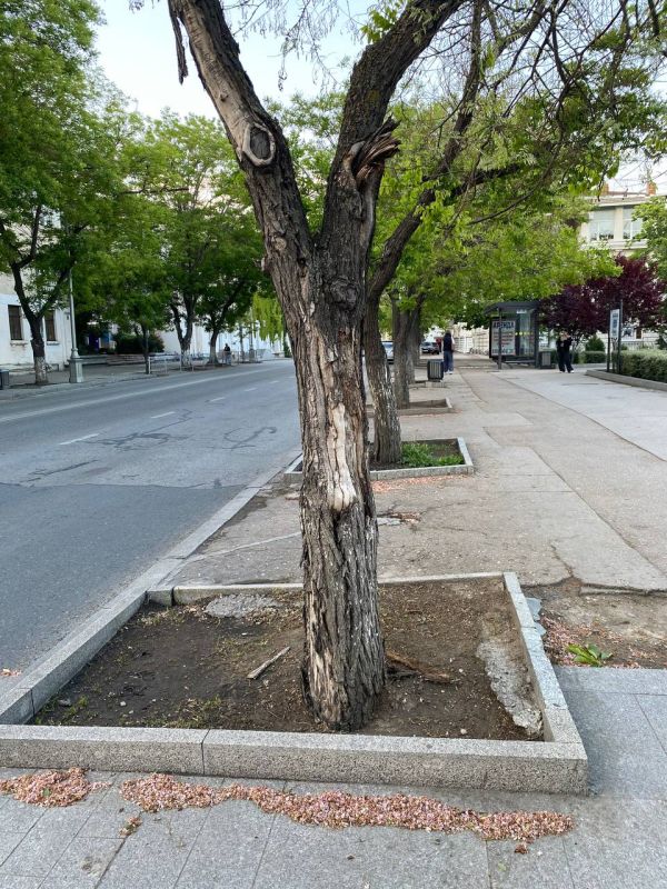 ������� ��� �� ���� , ����� ����� �� ������ - ��������� ������ ��������� � ����� ������ �������� � ��������� ����������� ���������