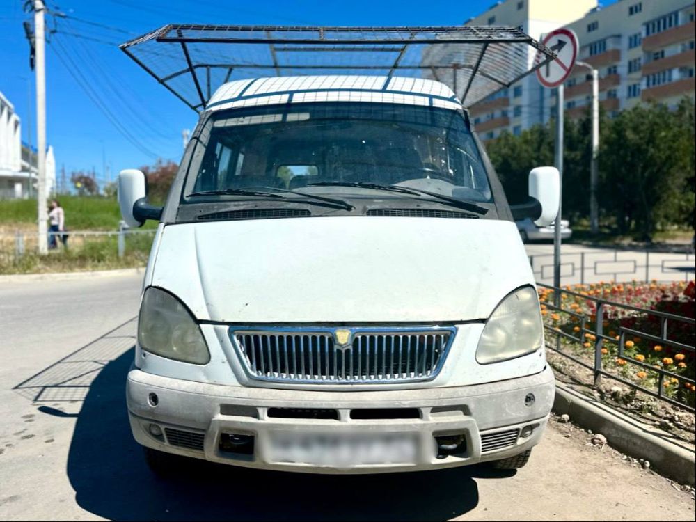 �������� ������: ������� ��������� � ��������� ���������������� �������� �������� �������� � ����������������� ������ ��������� �������� ����� �������������� �� ����� ������� ��������������� ���������� ��������