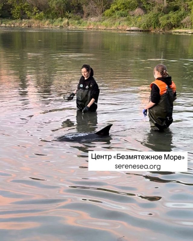 ������ ���, � ��� ��������� ����������!