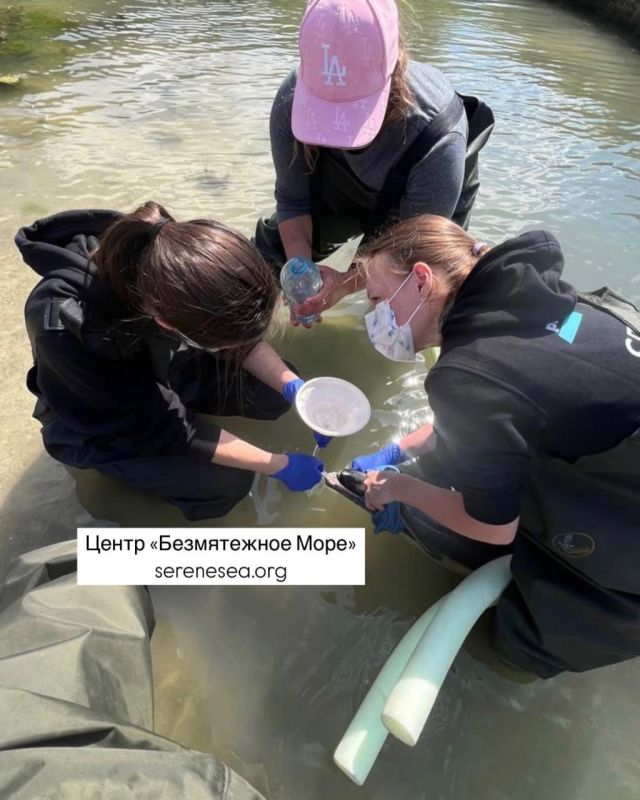 ������ ���, � ��� ��������� ����������!