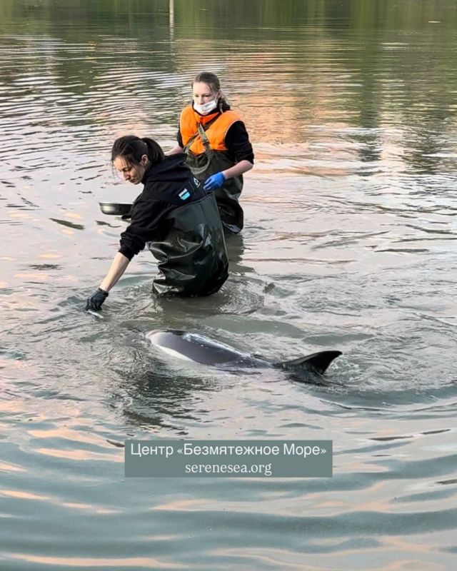 ������ ���, � ��� ��������� ����������!