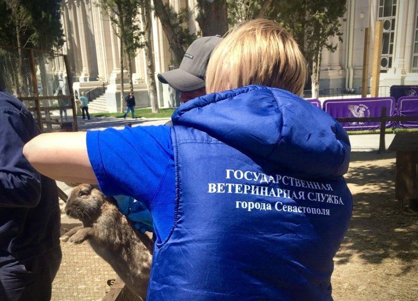 ������������ ����������� ������� ���������� �������� � ������ ���������