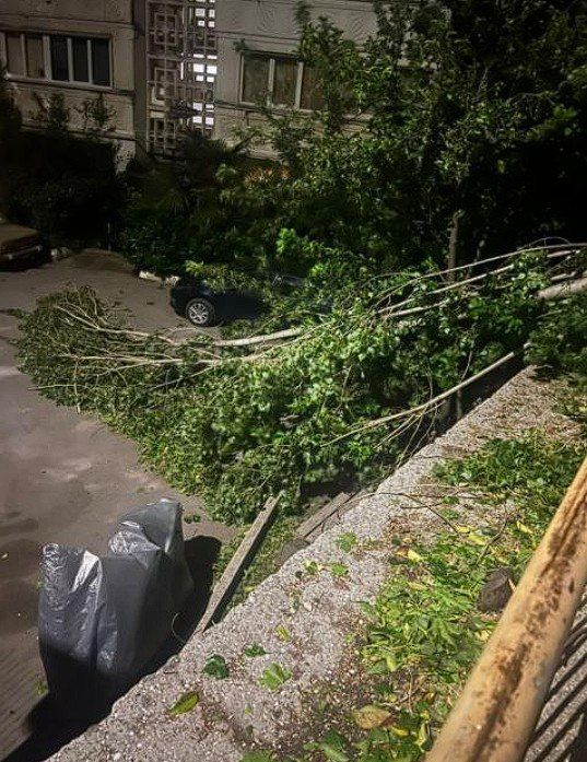 ��������� ����� ����� �������� ����� ����� �����