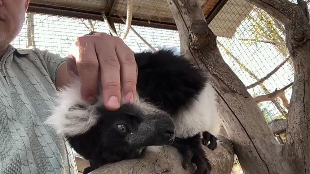 ����� �������� �����. � �������������� ����� �������� ������� ���������� ������ ������ � �������������� �����