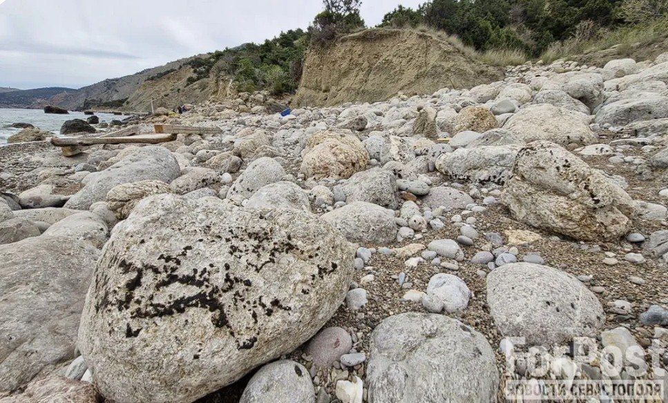 ������ ���� ������ ����� ������ �� ������� ����� ����������� ���