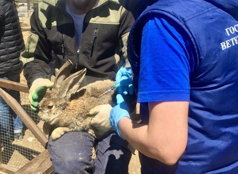 ������������ ����������� ������� ���������� �������� � ������ ���������