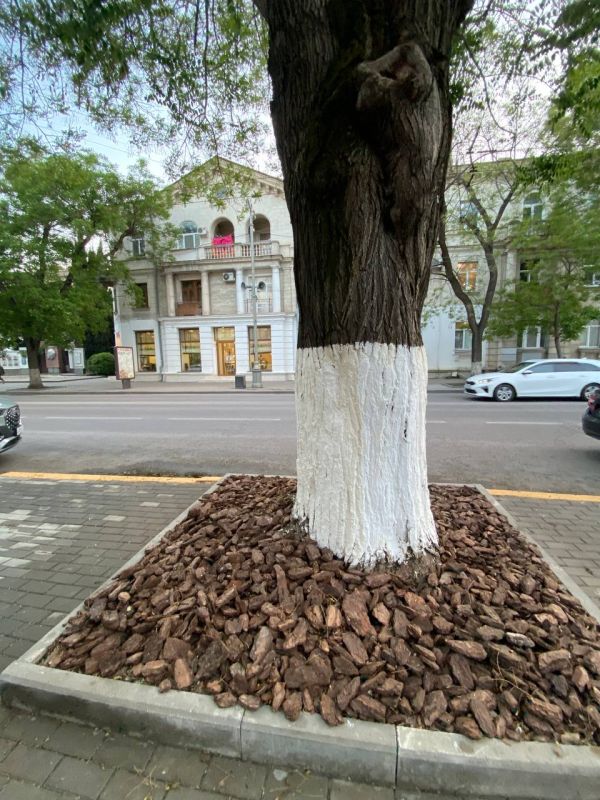 ������� ��� �� ���� , ����� ����� �� ������ - ��������� ������ ��������� � ����� ������ �������� � ��������� ����������� ���������