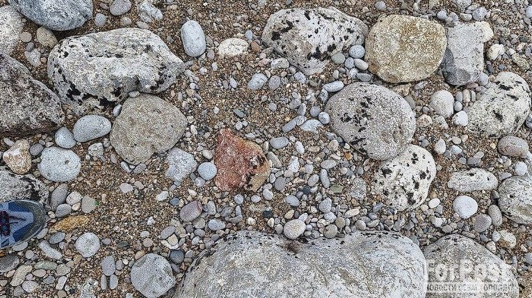 ������ ���� ������ ����� ������ �� ������� ����� ����������� ���