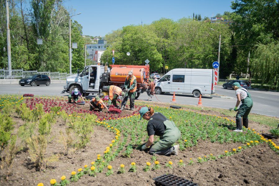 ����������� ������ ���������� ������ ����� � ������ ���������������� �������