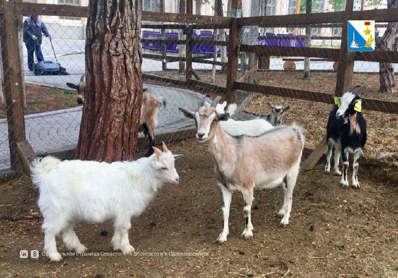 ���������� ������������ � �������� ������ ���������