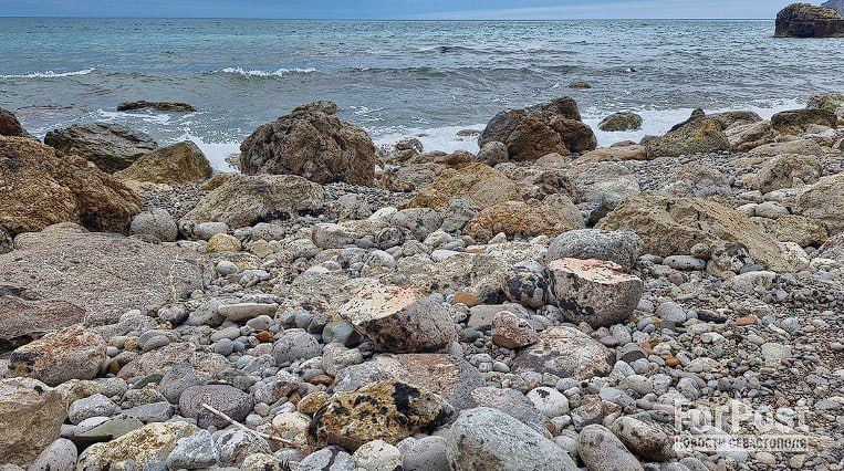 ������ ���� ������ ����� ������ �� ������� ����� ����������� ���