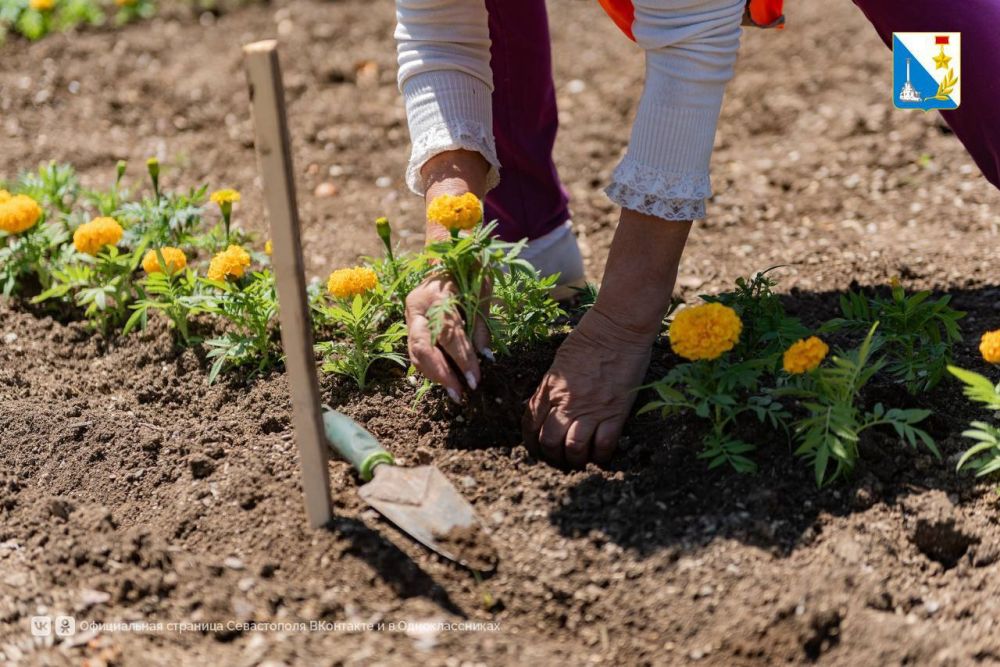 ���������� ����. � ����������� �������� ����� ������ �� ������