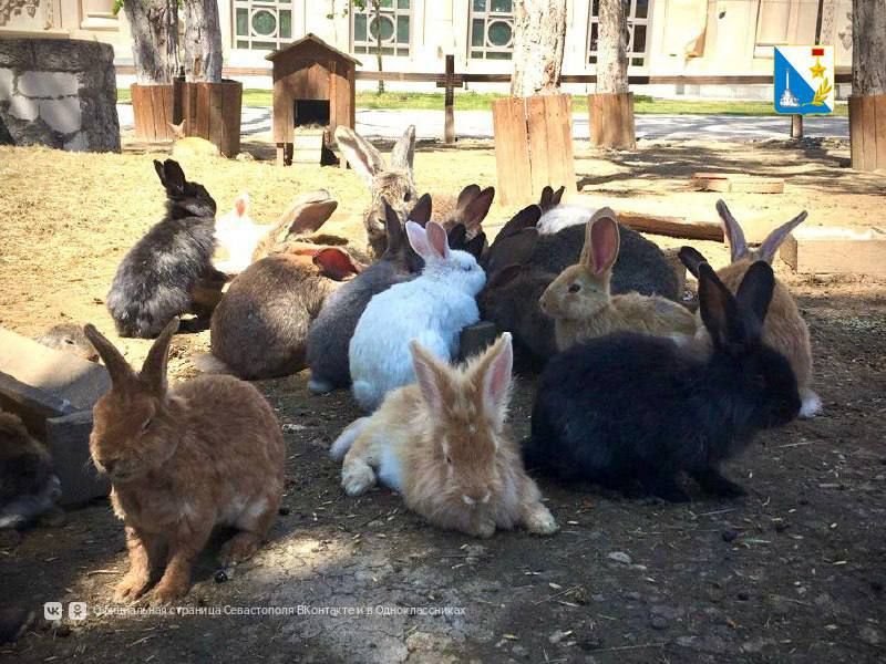 ���������� ������������ � �������� ������ ���������