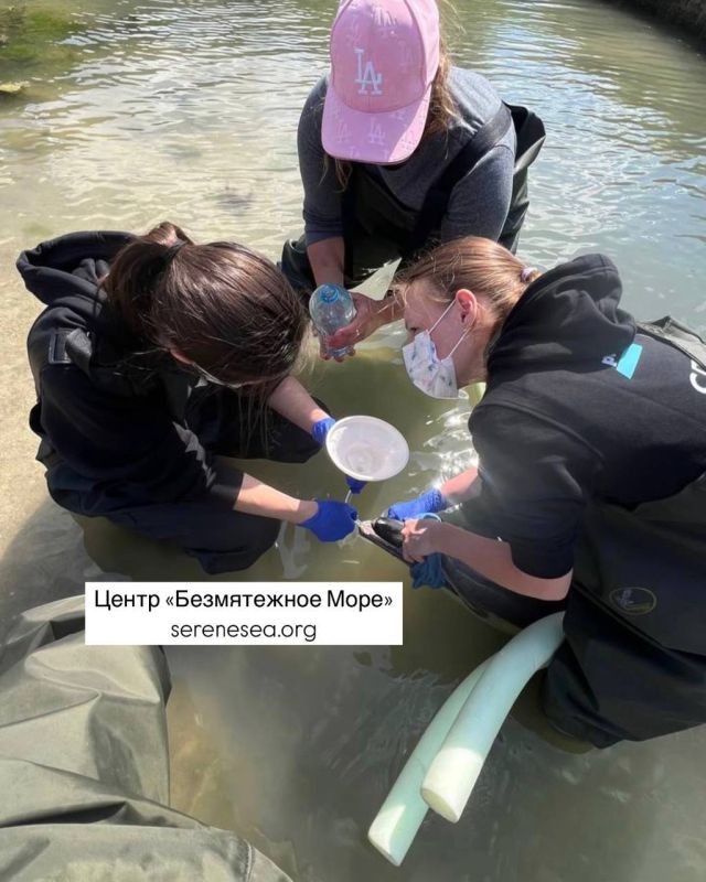 "� ��������� � ���� ��������� ��������� ����, ����� �������������� ��� ��������� � ������������, ������� � ���������": ��������� ����������, ��� ���� ������������ ��������, �������������� �� ����� � �����������