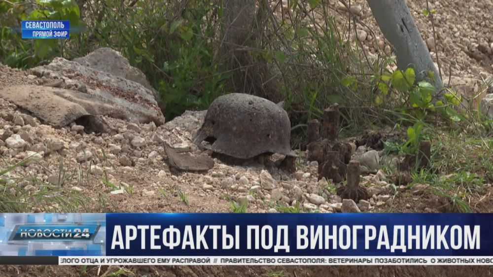 � ������� ���������� ��� ������������ ���������� ����������� ����������� ������