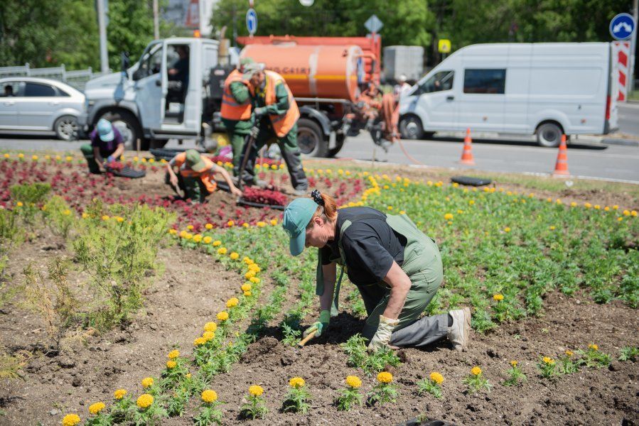 ����������� ������ ���������� ������ ����� � ������ ���������������� �������