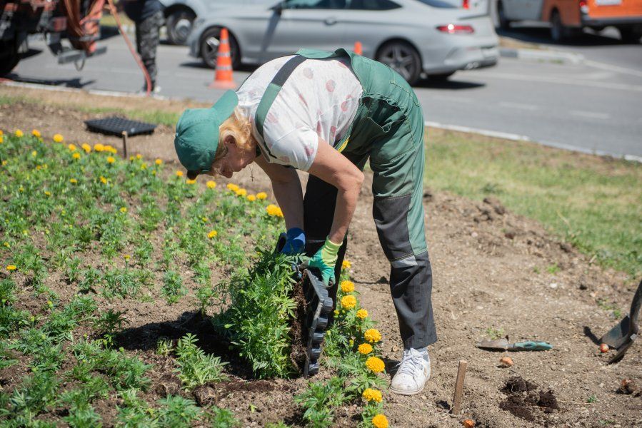 #��� ��� ������?. ������� � ����������� ������ ���������� �������� �� �������� ��������� ����� ��������������� � ���� ���������