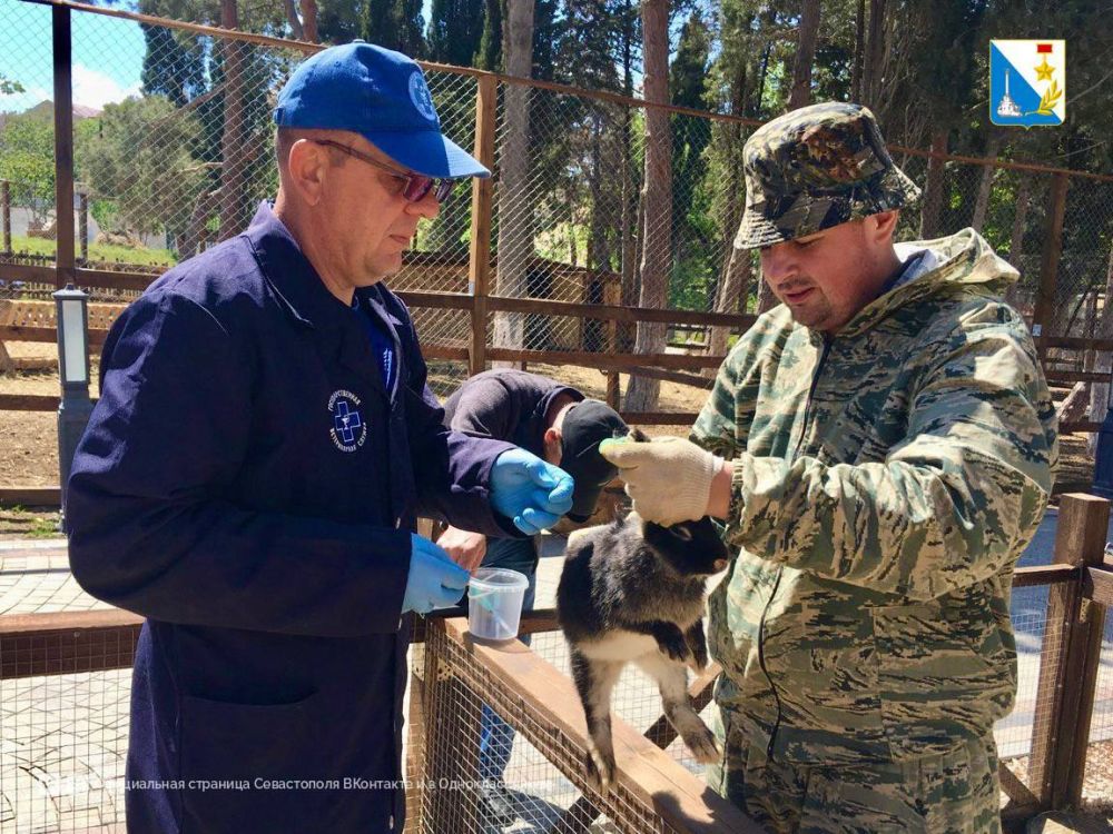 ���������� ������������ � �������� ������ ���������