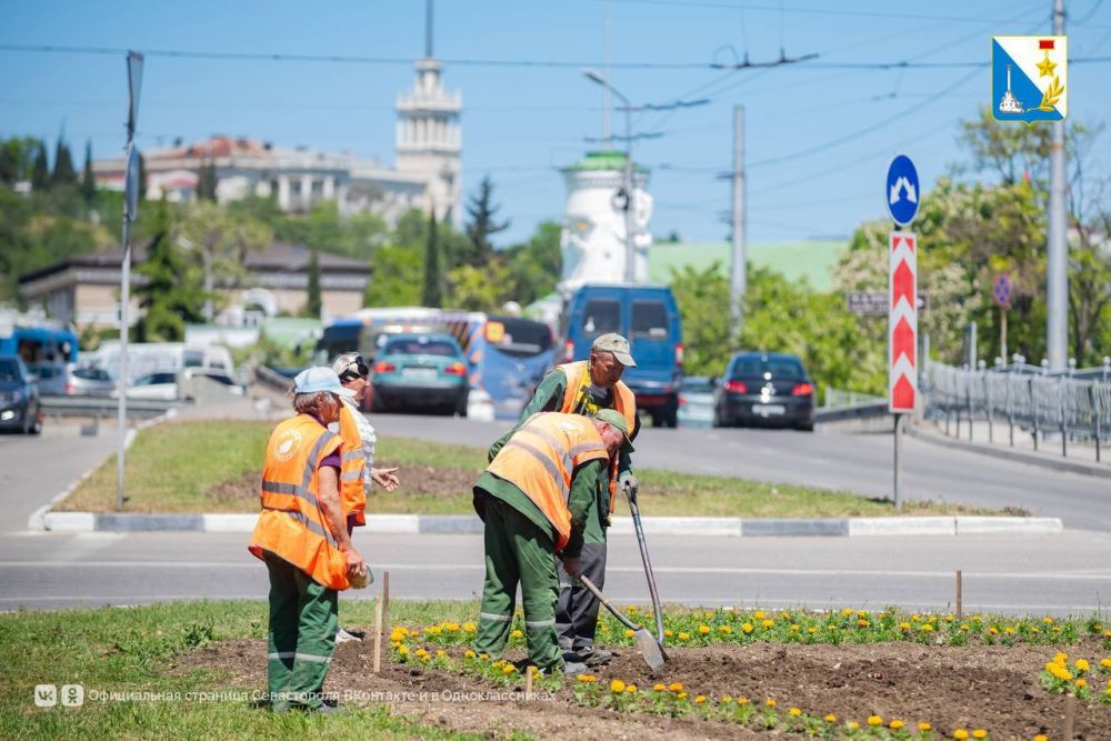 ���������� ����. � ����������� �������� ����� ������ �� ������