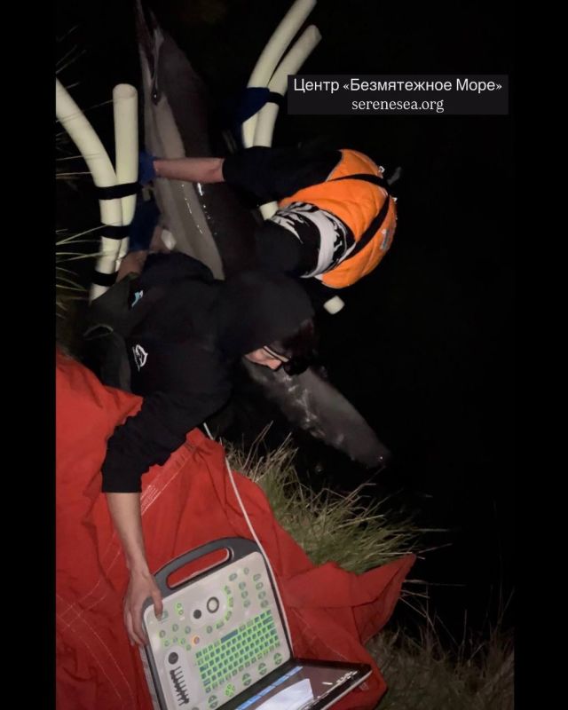 "� ��������� � ���� ��������� ��������� ����, ����� �������������� ��� ��������� � ������������, ������� � ���������": ��������� ����������, ��� ���� ������������ ��������, �������������� �� ����� � �����������