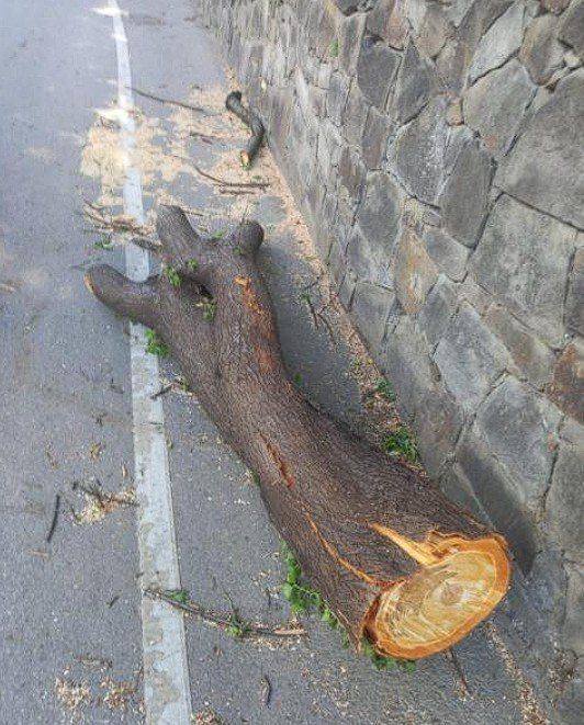 ��������� ����� ����� �������� ����� ����� �����