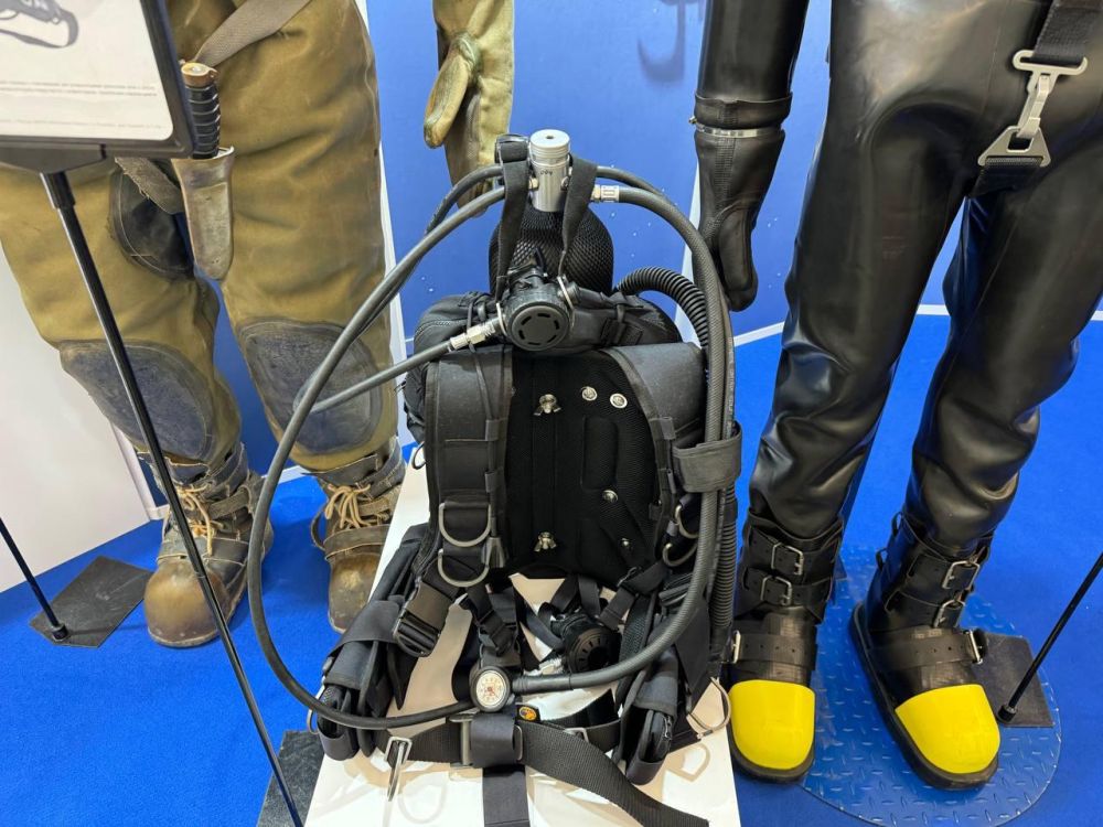 ������� �����: � ���� ��������� � ��������������� ���� ��������� �������� ����������� �����: ������������ ���� � ���������� �������