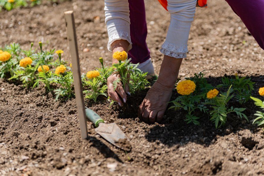 ����������� ������ ���������� ������ ����� � ������ ���������������� �������