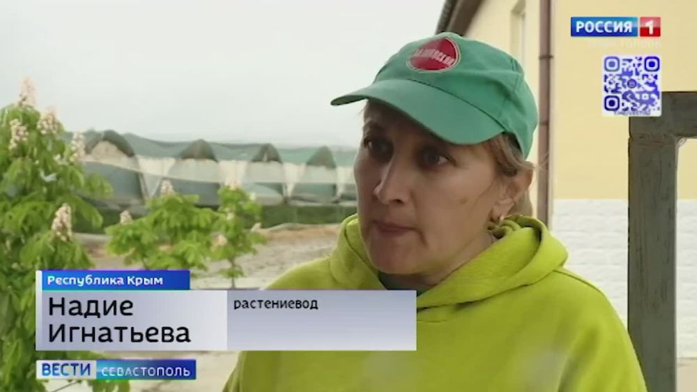 � ����������� ������� ������ � ���� ������ ���� ��������