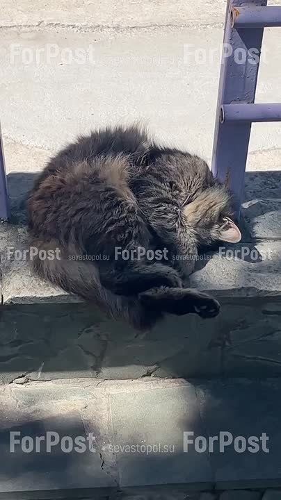       :))
