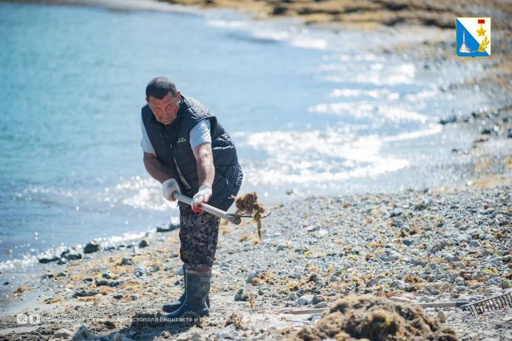 ��� ������ ���������� �� ������? ��������� � ������