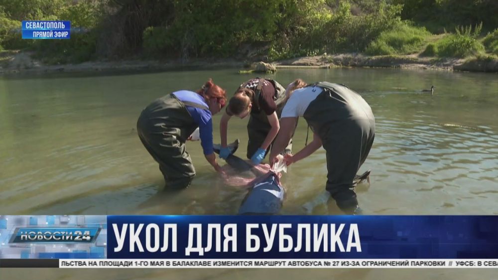 ��������� �� ������ ����������� ����� ������� ������ ��� �� ��������