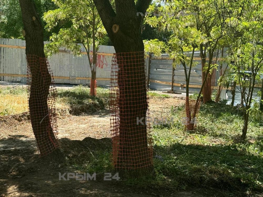 �� ����� ������ ������� ������ ������ ����� ������ ������ ���