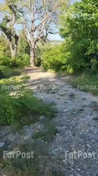 #���_�����. ��� ��� ������� �������� ���� �� 14 ������������������ �������� �� ������������ ��������, ���������� � ����������� �����������������