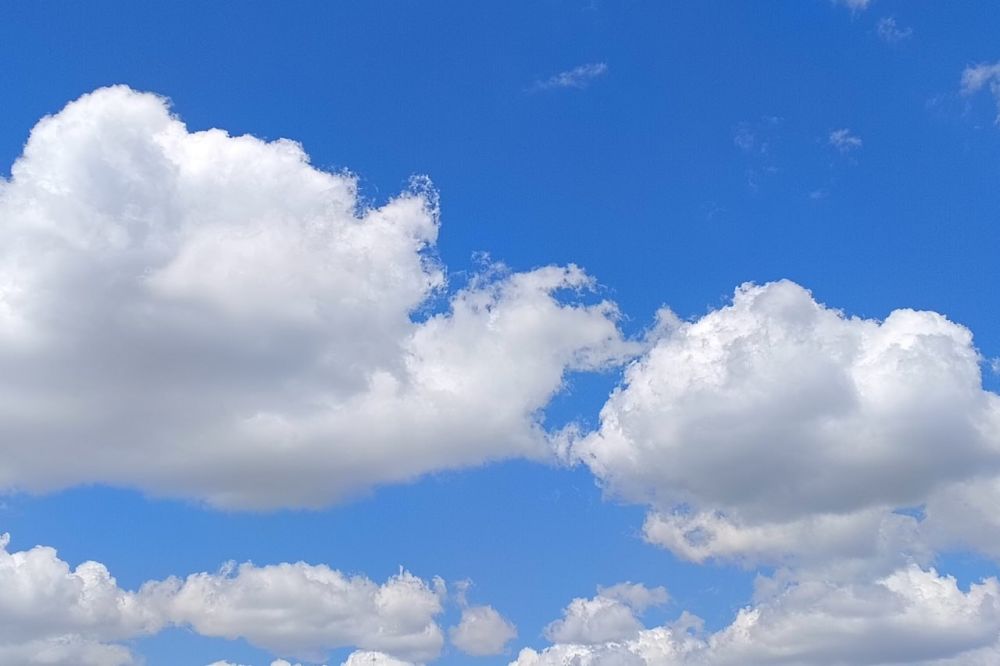 ������� ������ � ����� �� 22 ���