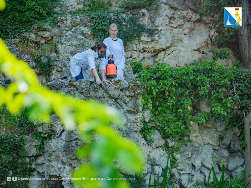 ����� �� ����������� ���� ���������� �� �������