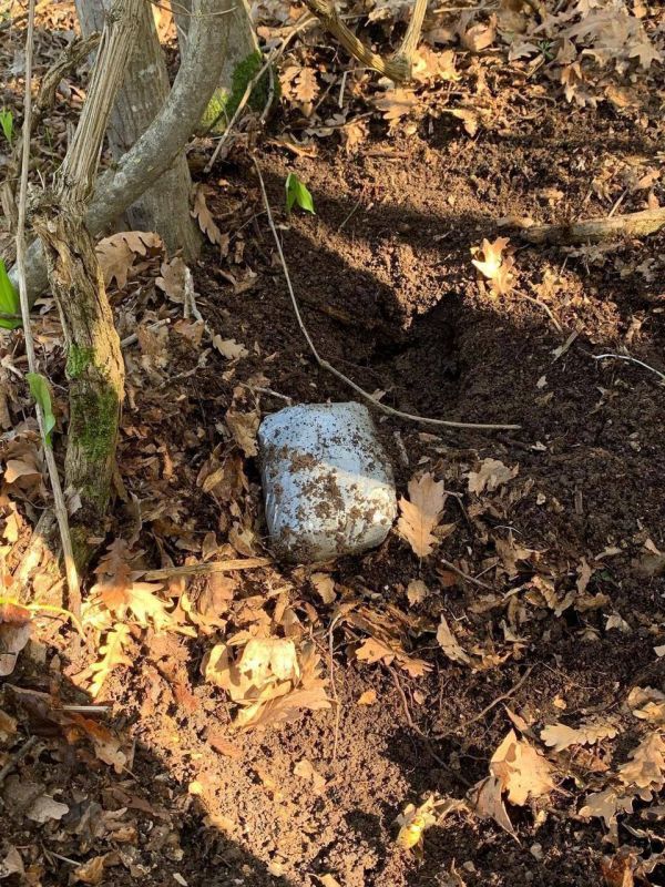 � ����������� ��������� �������-������ ������-�������� ����������