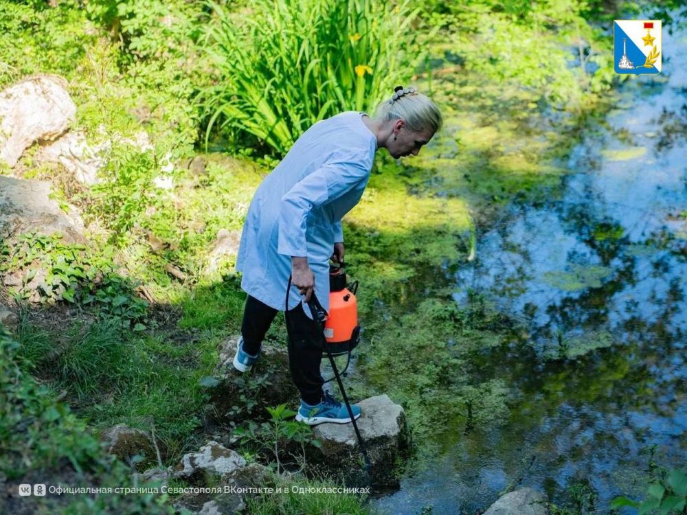 ����� �� ����������� ���� ���������� �� �������