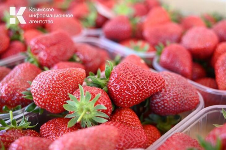 � ����� �������� ����� ��������