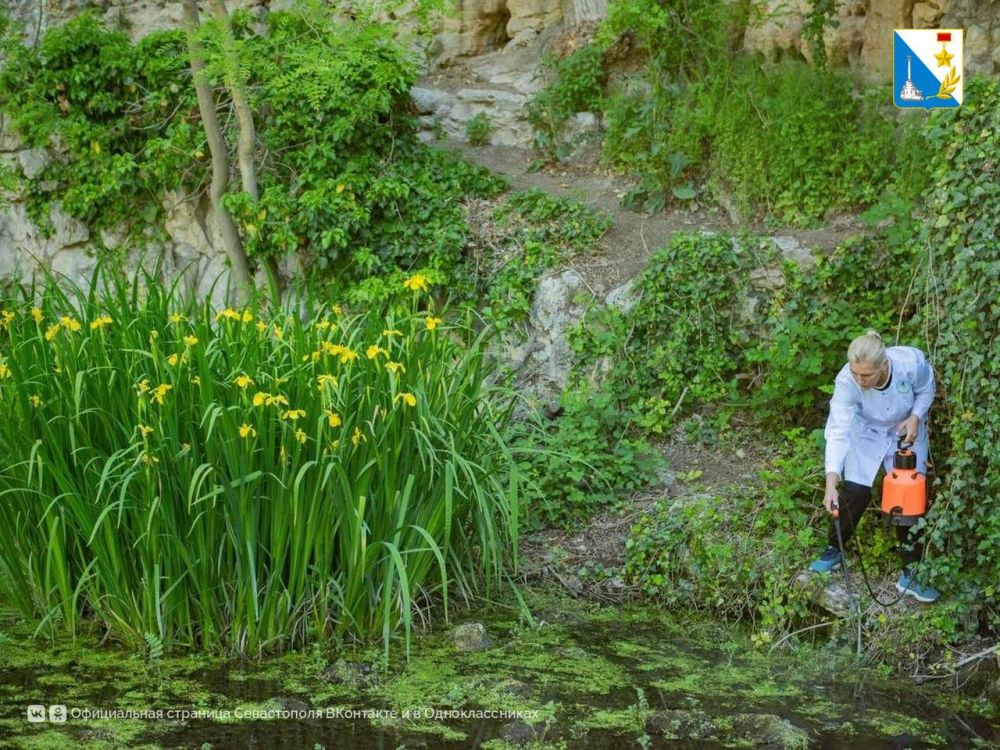 ����� �� ����������� ���� ���������� �� �������