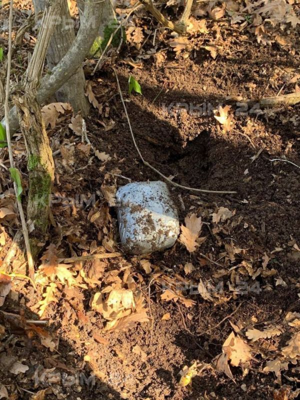 � ����������� ������� ������ �� 20 ��� ������� �� ������ �������������