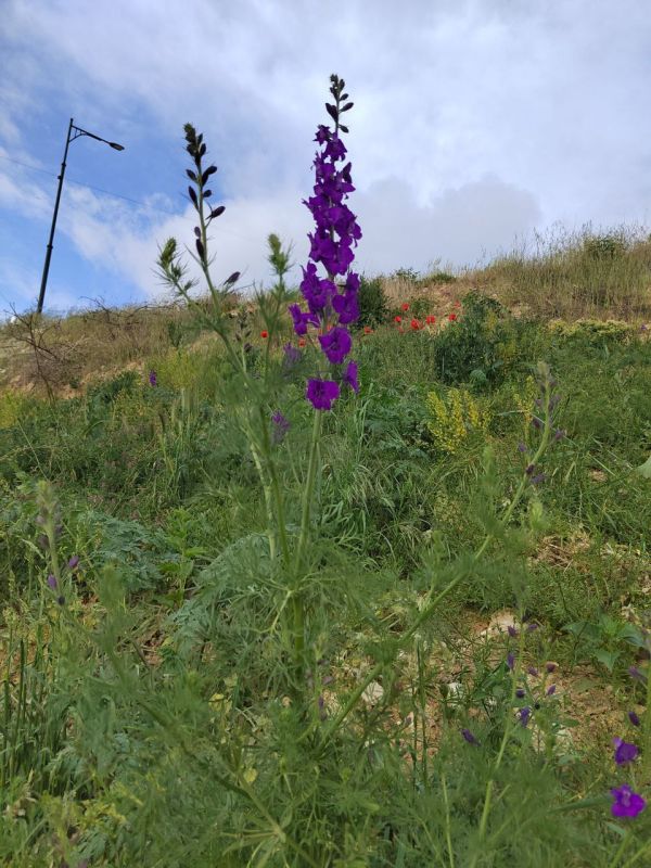 #��� ��� ������?. �������, �������� ������, ���������� ��������� ����������� �������, ������� �� ��������� ���������