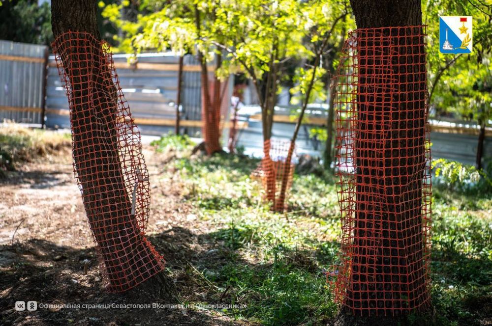 ����� ������ ������ ���� ��������������� �����