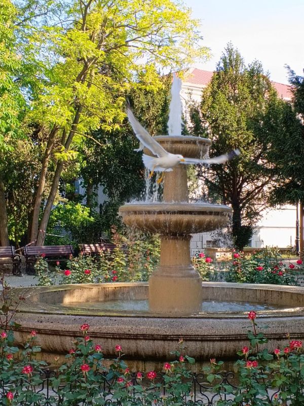 ���� ������� ���������� ����