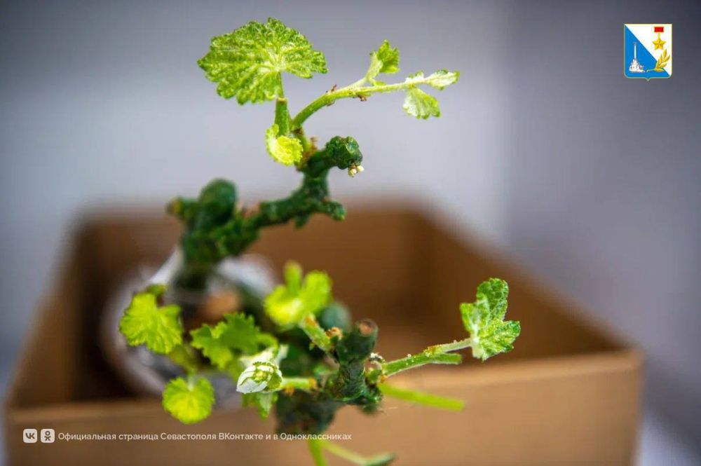 � ����������� ������� ��� ��� ���������� ��� ����������