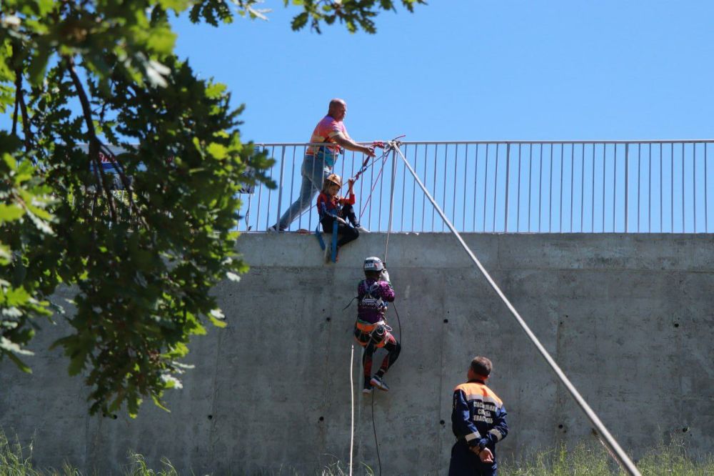 ��������� ����������� ������� ������� � ������������ ������������� ������ ������������