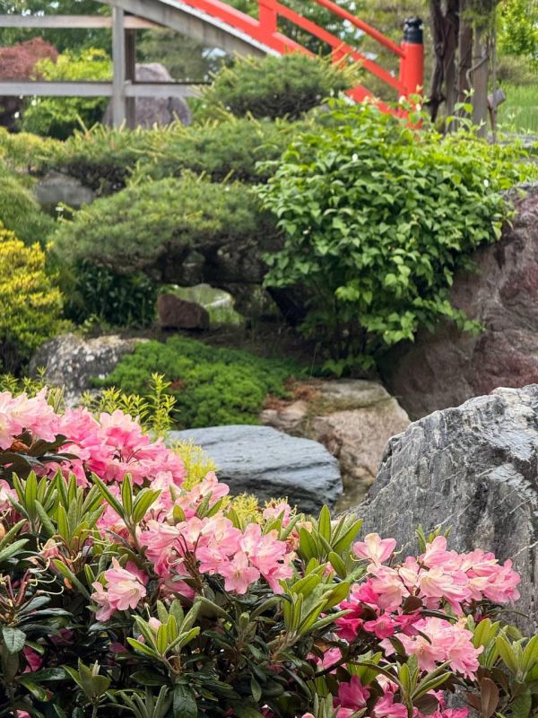 ������� ������ � ����� �� 23 ���